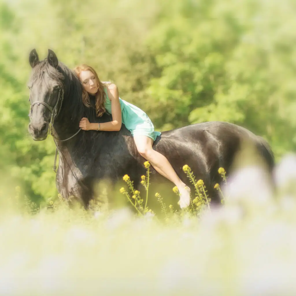 Emotionales Fotoshooting mit Pferd in der Natur – professionelle Familien‑ und Porträtfotografie Goslar
