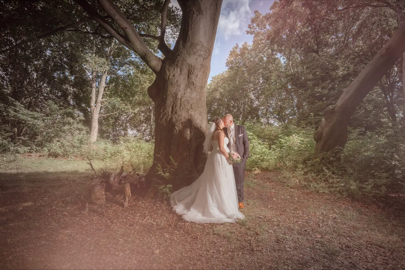 Brautpaar unter einem alten Baum vor einer sommerlichen Waldkulisse. Fotograf Goslar, Fotoagentur Otto, Hochzeitsfotograf